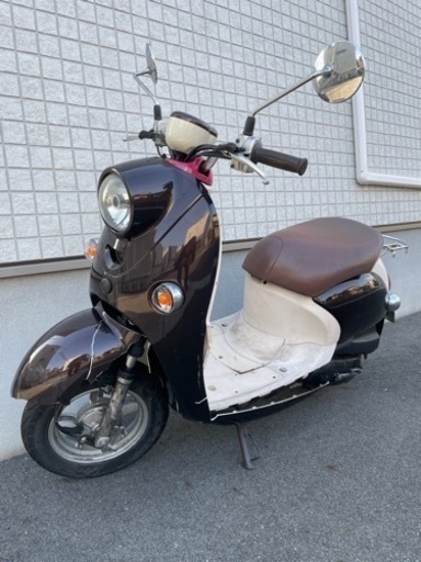 （終了しました）引き取りに来てくれる方限定