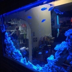 バーテンダー募集の画像