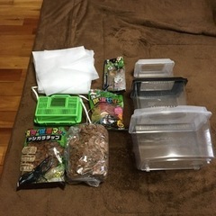 昆虫セット 
