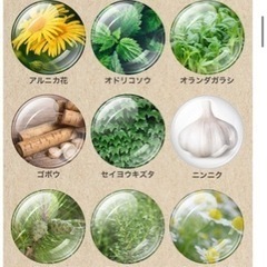 未使用未開封  モイル5L マッサージノイルの画像