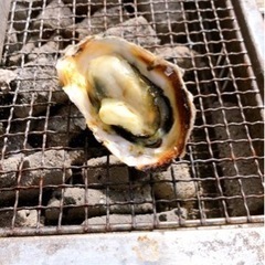 手相鑑定❣️ 無料で❣️させて頂きます❣️