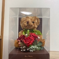 テディベア 箱入り