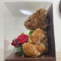 テディベア 箱入りの画像