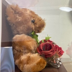 テディベア 箱入りの画像