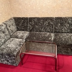 ソフー　決まりました