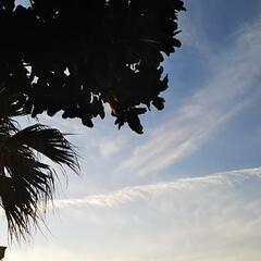 ヨガ  沖縄 那覇   2月19(日) ☀️ 女性特有の不調は朝...