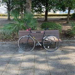 ☆骨董品鈴木春信飾り絵皿大皿