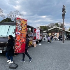 知恩院さくらストリート - 地域/お祭り