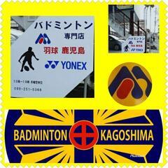 bkｼﾞｭﾆｱﾊﾞﾄﾞﾐﾝﾄﾝﾁｰﾑの画像