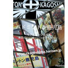 bkｼﾞｭﾆｱﾊﾞﾄﾞﾐﾝﾄﾝﾁｰﾑの画像