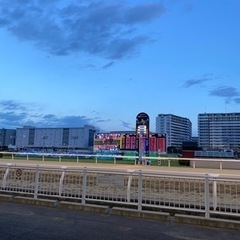 競馬好きな方と仲良くなりたい😆