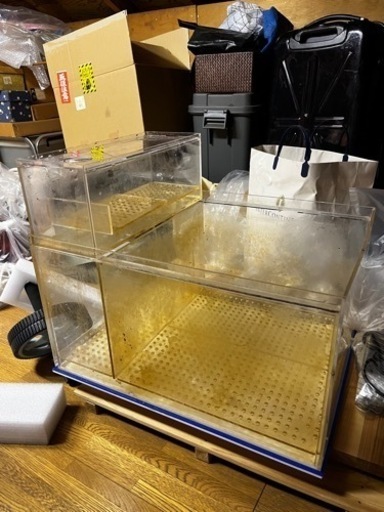 エクセル550 サンプ　濾過層