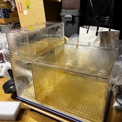 エクセル550 サンプ　濾過層