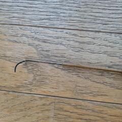 手延竿　オリムピックの画像