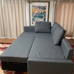 ソファベット IKEA フリーヘーテン