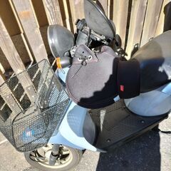 honda today　中古　原付きの画像