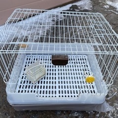 うさぎ　小動物　ケージ