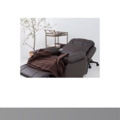 シフォン　ジュニア　リクライニングチェアの画像