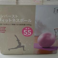カインズ フィットネス、トレーニング(スポーツ)の中古が安い