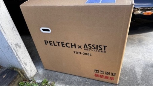 PELTECH（ペルテック）ノーパンク 折り畳み電動アシスト自転車 20インチ 折り畳み外装6段変速（TDN-206L）