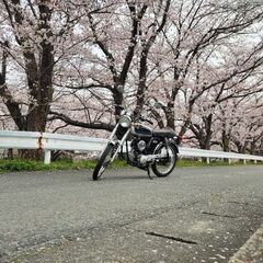 【最終値下げ】ヤマハ YB1 Four