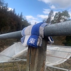 いらないタオルが沢山あって困っている方無料でください⭐︎