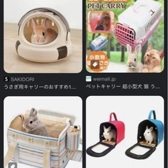 小動物用　キャリーバック探してます💦