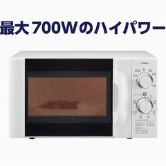 TWINBIRD 電子レンジ 17L DR-D419の画像