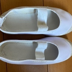 深井小学校体育館シューズ　上靴の画像