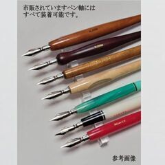 日本習字普及協会　指定ペン先「鷹見芝香先生 創案」ペン習字用Ｓ.Ｔ.PEN　１０本セット　希少な幻のペン先　耐摩耗に優れ腐食に強いペン先の画像
