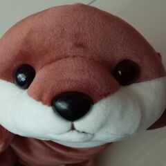 カワウソのぬいぐるみ ハッピーマリン 江ノ島水族館