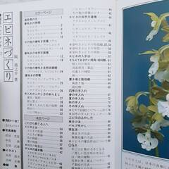 エビネづくり　著書　岡靖之介の画像