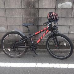 (21インチ)ブリジストンBWXジュニア向け自転車