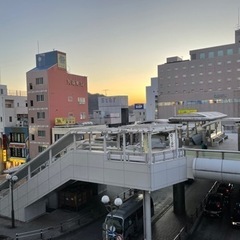 2/11（土）or 2/12（日）に小田原駅でお話ししませんか？...
