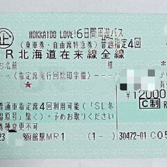 JR 北海道 Love 周遊 パス 2月11日～2月15日