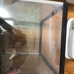 45cm水槽の画像