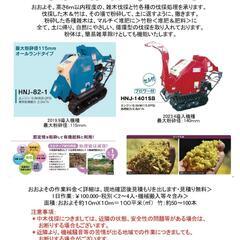 竹林整備でお困りではないですか？簡易伐採お手伝いいたします。