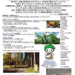 自然派のキャンプ場です！
