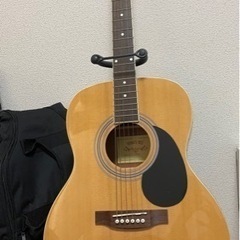 honey bee アコースティックギター