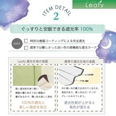 Leafy＆ALLORA 遮光カーテン　セットの画像
