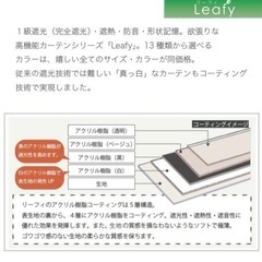 Leafy＆ALLORA 遮光カーテン　セットの画像