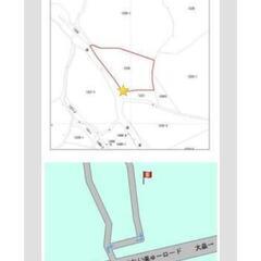 竹、林の木　いつでも好きなだけどうぞ。の画像