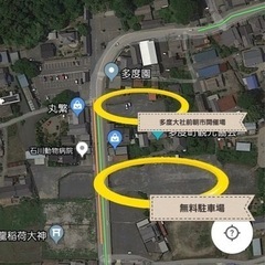 多度大社前朝市✨メダカ🐟ウーパールーパーの画像