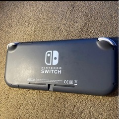 switch light グレー　＋ソフトの画像