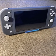 switch light グレー　＋ソフト
