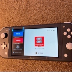 switch light グレー　＋ソフトの画像