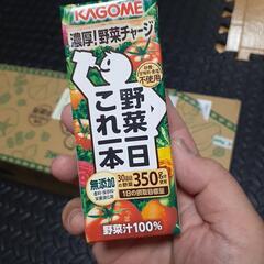 カゴメ　野菜一日これ一本