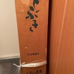 雛人形！お願いします！の画像