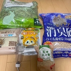 デグー飼育セット　(お取り引き中)
