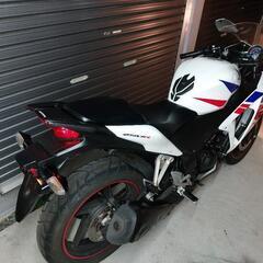 HONDA　CBR250R MC41　絶好調　兵庫県　加古川市の画像